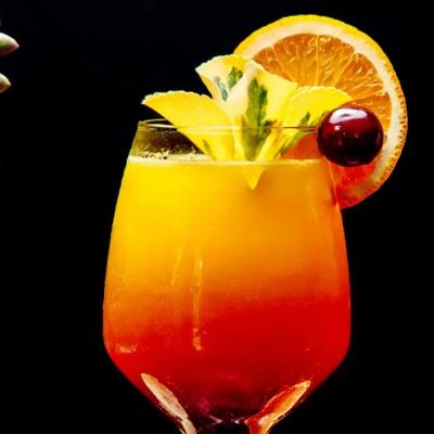 Cotorros Bar Hotel El Dorado Seaside Palms Puerto Aventuras Cotorros Bar Hotel El Dorado Seaside Palms Puerto Aventuras